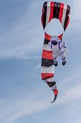 Image result for Ragged Kites