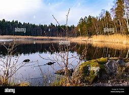 Image result for Sweden Lake Town