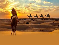 Image result for A Desert Safari