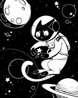 Image result for Space Keddit Cat