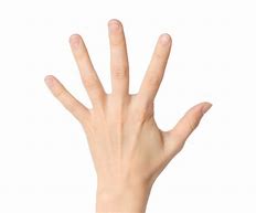 Image result for Fifth Digit Finger