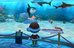 Image result for Animal Crossing New Leaf Fish