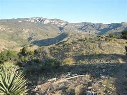 Image result for Mica Mountain AZ Hikes