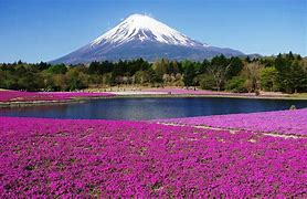 Image result for Gambar Jepang