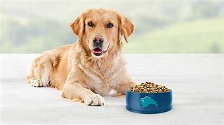 Image result for Low-Fat Dog Food Blue Bag