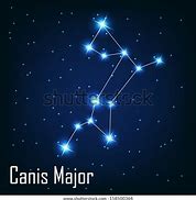 Image result for Canis 1Love