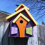 Image result for Novelty Bird Houses