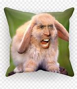 Image result for Nicolas Cage Bunny Meme