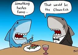 Image result for Fish Puns