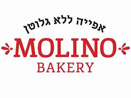 Image result for Molino Lodge Mason