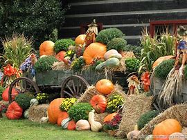 Image result for Fall Scarecrow