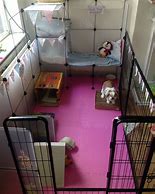 Image result for Indoor Bunny House