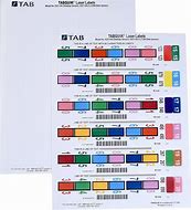 Image result for Big Tab Labels