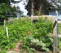 Image result for Crop Terraces