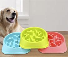 Image result for Dog Eat Bowl