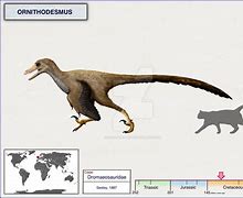 Image result for Ornithodesmus