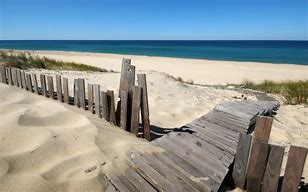 Image result for Path to Beach Background