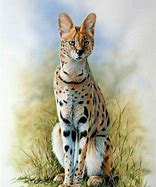 Image result for Serval Cat Figurine