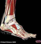 Image result for Barefoot Shoes for Plantar Fasciitis