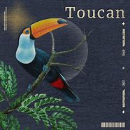 Image result for Toucan Reward Charts