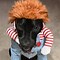 Image result for Smile Dog Costume