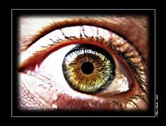 Image result for Hypnotic Haib Eyes