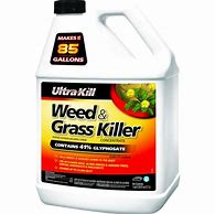 Image result for HDX Weed Killer Concentrate