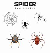 Image result for Spider SVG Free