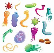 Image result for Parasite Cartoon