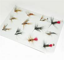 Image result for Fly Fishing Lures