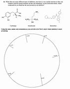 Image result for Active Site Diagram