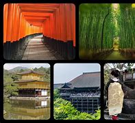 Image result for Kyoto Ride Tour