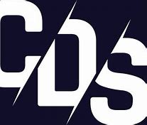 Image result for 2 CDs Logo