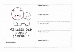 Image result for Puppy Schedule 18 Weeks