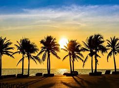 Image result for Sunset Wall Murals