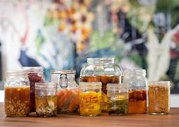 Image result for Fermented Food Process