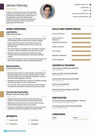 Image result for CV Example.pdf