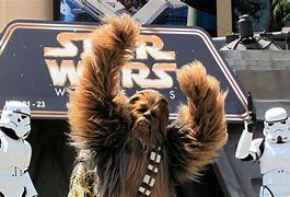 Image result for Chewbacca UV Map