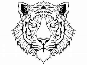 Image result for Tiger Head Line Drawing