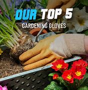 Image result for Garden Work Gloves