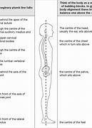 Image result for Standing Posture Plumb Line