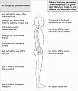 Image result for Plumb Line On Human Body