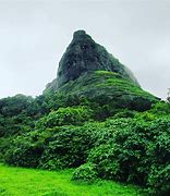 Image result for Rajmachi Lonavala Waterfall