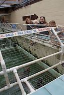 Image result for Morro Bay Aquarium