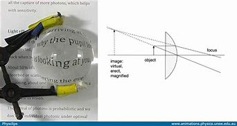 Image result for Clip Art Lens of Microscope