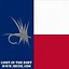 Image result for 9Mm Texas Flag Slide