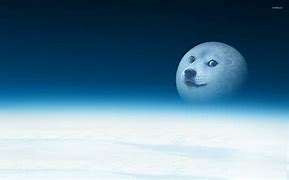 Image result for Doge Meme Desktop Wallpaper