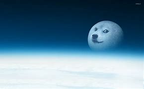 Image result for Funny Doge Meme Wallpaper