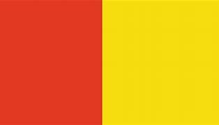 Image result for Skane Flag