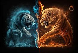 Image result for Lion and Fire